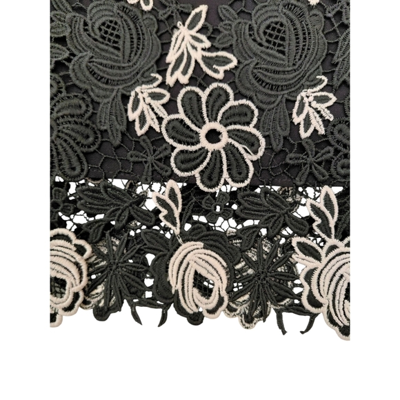 RW&CO Black and Cream Embellished V-Neck Sheath Dress - Picture 4 of 8